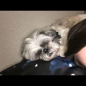 Meet your Posher, Stephanie